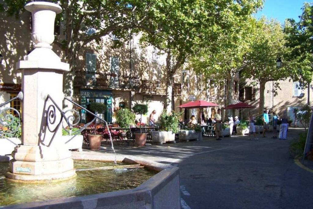 Gite Provencal Independant Avec Piscine Chauffee : Le Suy Bien Flayosc Eksteriør bilde