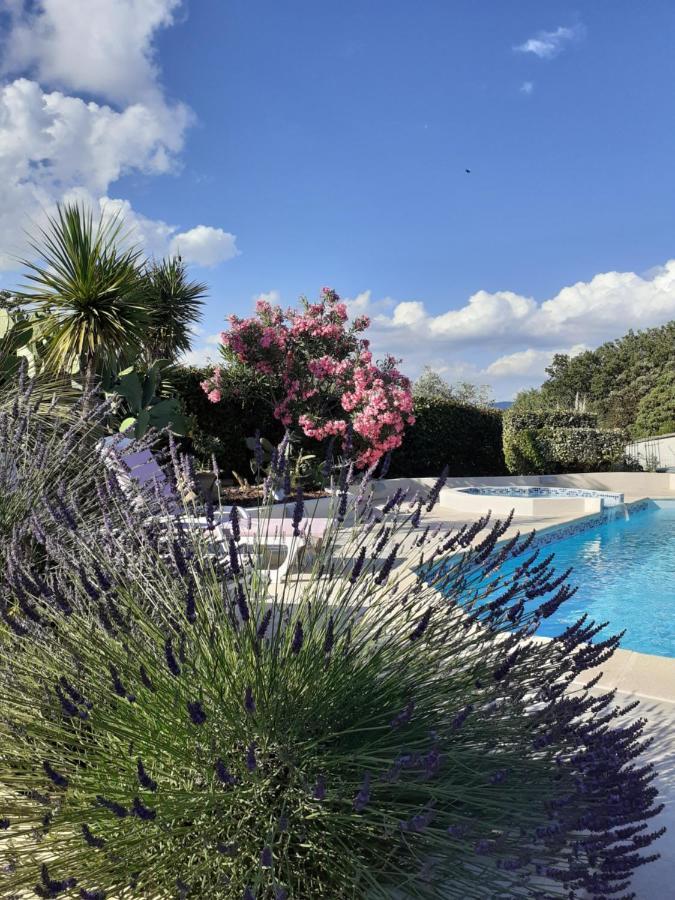 Gite Provencal Independant Avec Piscine Chauffee : Le Suy Bien Flayosc Eksteriør bilde