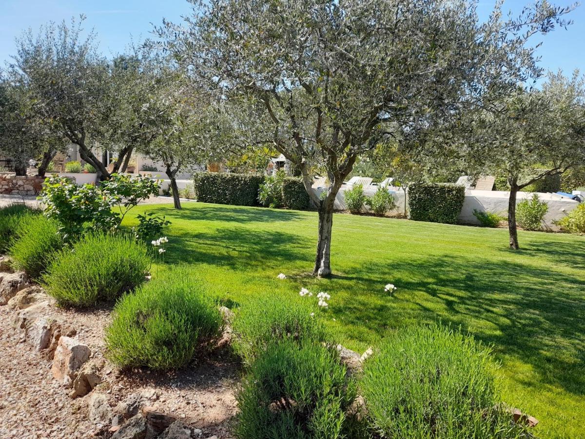 Gite Provencal Independant Avec Piscine Chauffee : Le Suy Bien Flayosc Eksteriør bilde