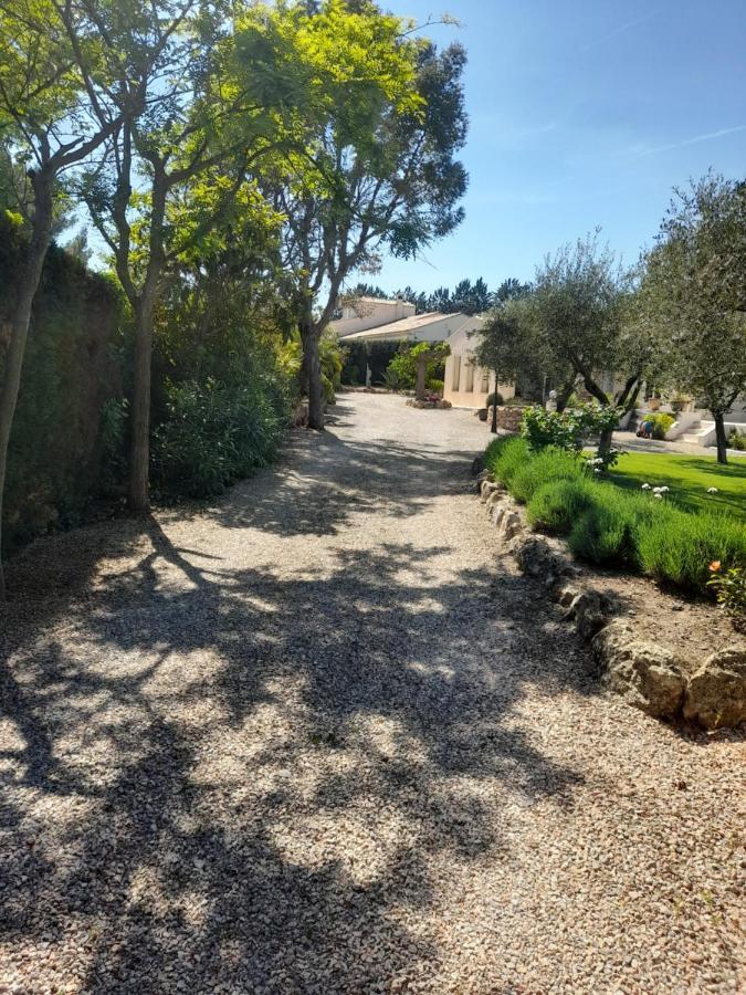 Gite Provencal Independant Avec Piscine Chauffee : Le Suy Bien Flayosc Eksteriør bilde